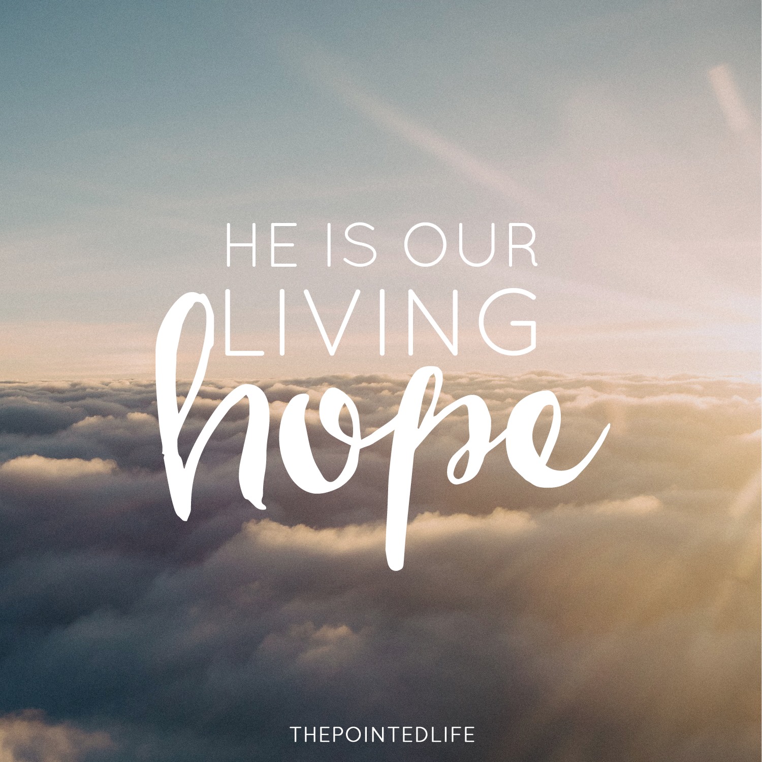 Our living hope the pointed life
